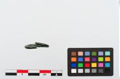 Foto von Bronzering (NHMW-PRAE-024278)